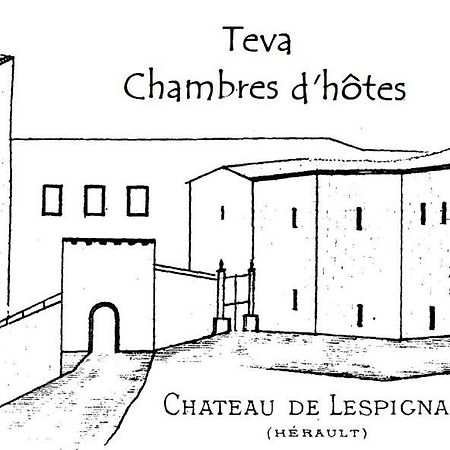 Bed and Breakfast Teva Lespignan Exteriér fotografie